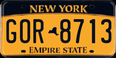 NY license plate GOR8713