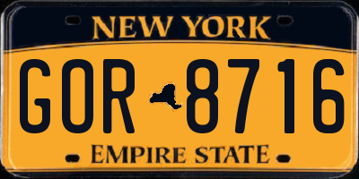 NY license plate GOR8716