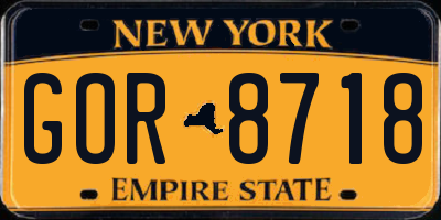 NY license plate GOR8718