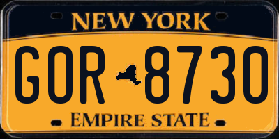 NY license plate GOR8730