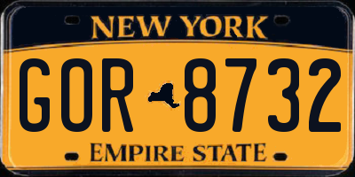 NY license plate GOR8732
