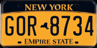 NY license plate GOR8734