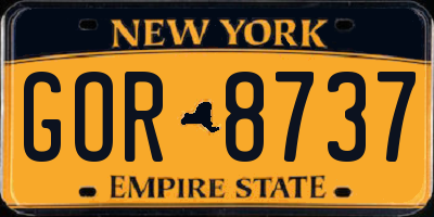 NY license plate GOR8737