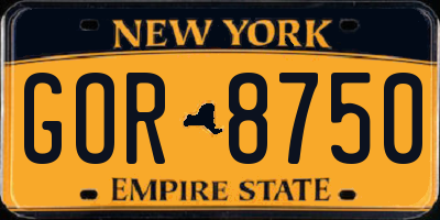 NY license plate GOR8750