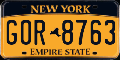 NY license plate GOR8763