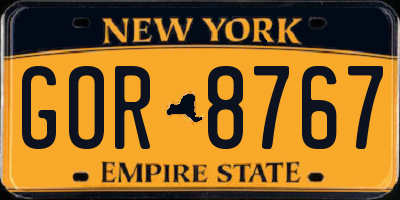 NY license plate GOR8767