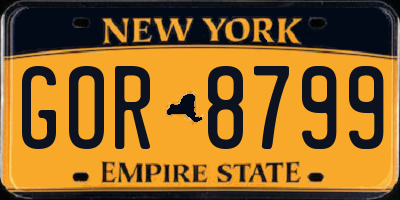 NY license plate GOR8799