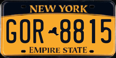 NY license plate GOR8815