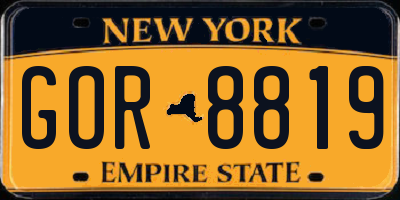 NY license plate GOR8819
