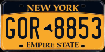 NY license plate GOR8853