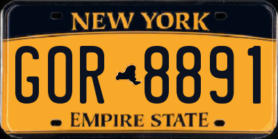 NY license plate GOR8891