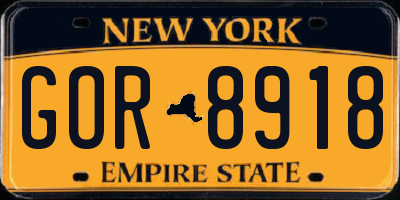 NY license plate GOR8918