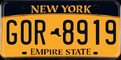 NY license plate GOR8919