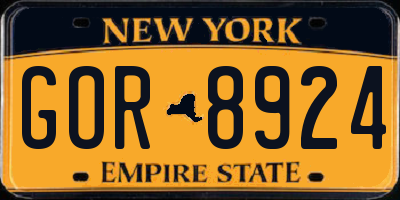 NY license plate GOR8924