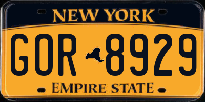 NY license plate GOR8929