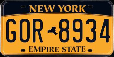 NY license plate GOR8934