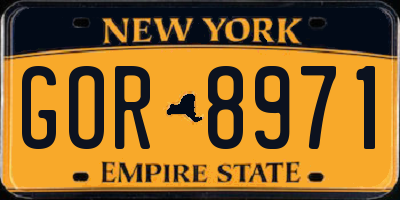 NY license plate GOR8971