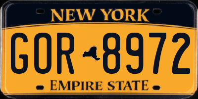 NY license plate GOR8972