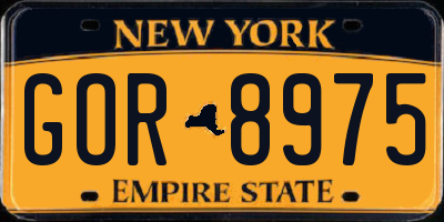 NY license plate GOR8975