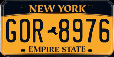 NY license plate GOR8976