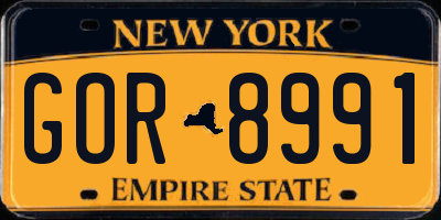 NY license plate GOR8991
