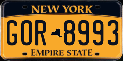 NY license plate GOR8993