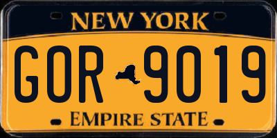 NY license plate GOR9019