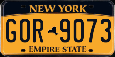 NY license plate GOR9073