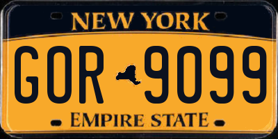 NY license plate GOR9099