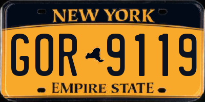 NY license plate GOR9119