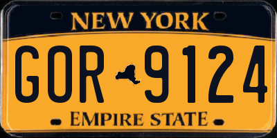 NY license plate GOR9124