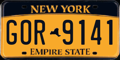 NY license plate GOR9141
