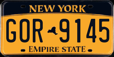 NY license plate GOR9145