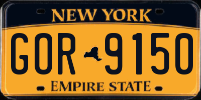 NY license plate GOR9150