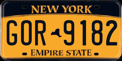 NY license plate GOR9182