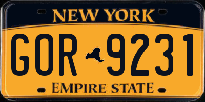 NY license plate GOR9231