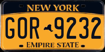 NY license plate GOR9232