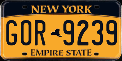 NY license plate GOR9239