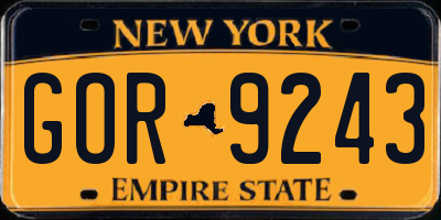 NY license plate GOR9243