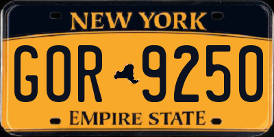 NY license plate GOR9250