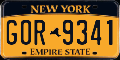 NY license plate GOR9341
