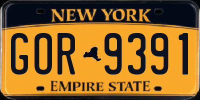 NY license plate GOR9391
