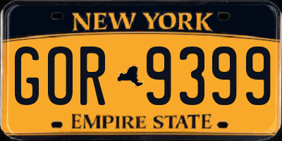 NY license plate GOR9399