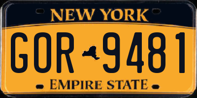 NY license plate GOR9481