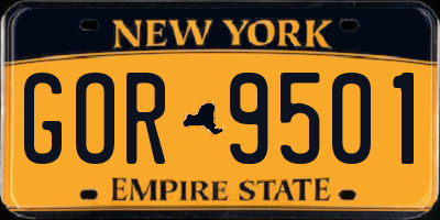 NY license plate GOR9501