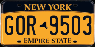 NY license plate GOR9503