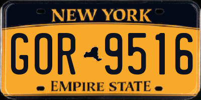 NY license plate GOR9516