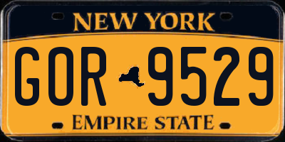 NY license plate GOR9529