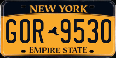 NY license plate GOR9530