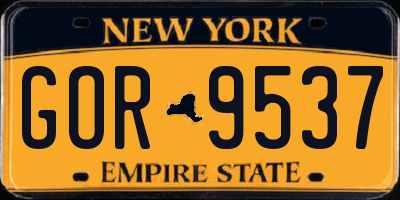 NY license plate GOR9537